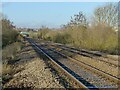 Nottingham to Grantham railway at Netherfield