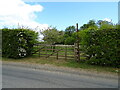 Field entrance and footpath near Ashbrook House Farm