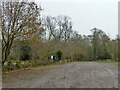 Car park, Danbury Country Park