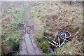 Ditch, Gordon Community Woodland