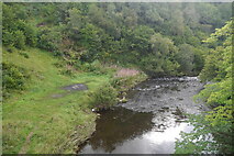 NO0002 : River Devon downstream of the Dunning Glen road by Richard Webb