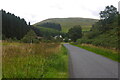 Dunning Glen, Myrehaugh