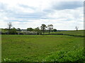 Grazing near Providence Hill