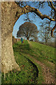 Footpath from Stoke Gabriel