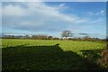 Field beside Bad Bargain Lane