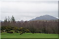 SD1399 : Eskdale Green by Peter Trimming