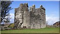 NM8300 : Carnassarie Castle by Sandy Gerrard