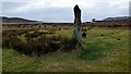 NR7461 : Standing stone at Carse by Sandy Gerrard
