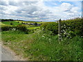 Footpath and field entrance, Peel Banks