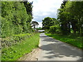 Road beside Middle Rigg Plantation