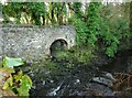 Culvert under the old railway line