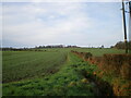 Fields and a hedgerow on the western side of Shifnal