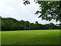 Rugby pitch, Seaton Park