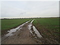 SK7450 : Muddy farm track near East Stoke by Jonathan Thacker
