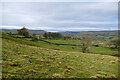 Fields above Shaws Lane