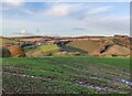 Gladder Brook valley