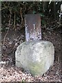 SO6969 : Old Boundary Markers near Frith Common by J Atkinson