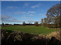 Parkland west of Haughton Lane