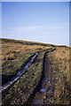 Rutted route of Pennine Way north of Burnstones