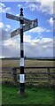 Cumberland County Council signpost beside A686 opposite Hunters Cottage