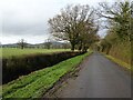 Country road near Birtsmorton