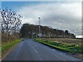 On Serlby Road approaching Snape Lane