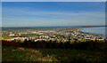 Newcastle from Donard Wood