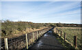 Path beside Weardale Railway