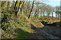 Bridleway, Lower Combe