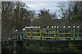 Waiting by the weir