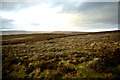 NZ0042 : Moorland west of Collier Law by Andy Waddington