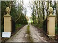 Entrance drive, Marshwood Manor