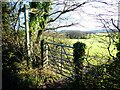 Bridleway to Fishpond Bottom