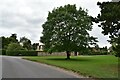 The village green at Bredfield