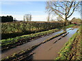 Flooded track near Bunny Lane