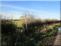 The beginning of a footpath to East Leake