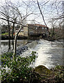 Weir and old mill on the River Nidd, Knaresborough