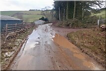 NT4253 : Muddy road, Crookston North Mains by Richard Webb