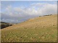 Field behind Hazelbank Quarry