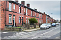 Ivy Terrace, Knowles Street