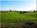 Head of the valley, below Four Ashes