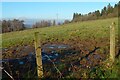 Field near Mains Farm