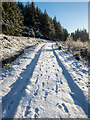 NM9705 : Footprints in the snow by Patrick Mackie