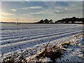 Snow covered farmland next to Waggon Lane