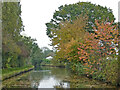 Canal near Cross Green in Staffordshire