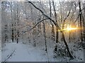 Morning sun and snow in the Dalzell Estate