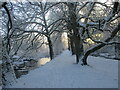 Path in the Dalzell Estate