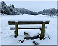 Seat at the Habberley Valley Local Nature Reserve