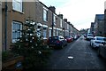 Christmas Tree on Wellington Street