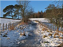 NT2439 : Icy path to South Park Wood by Jim Barton